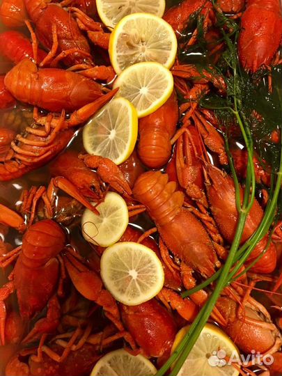 Раки в наличии