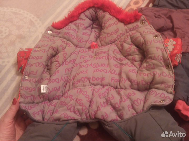 Одежда для маленьких собак