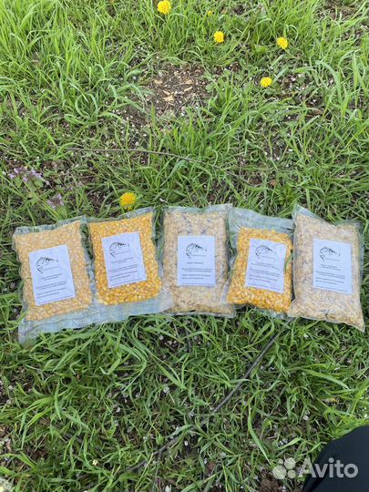 Прикормка для рыбалки