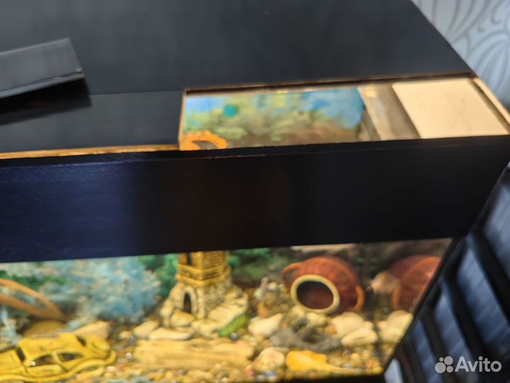 Аквариум 180 л + тумба под аквариум+декор+ рыбки