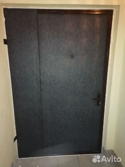 Входная тамбурная дверь