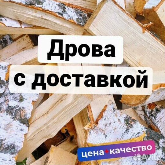 Дрова берёза