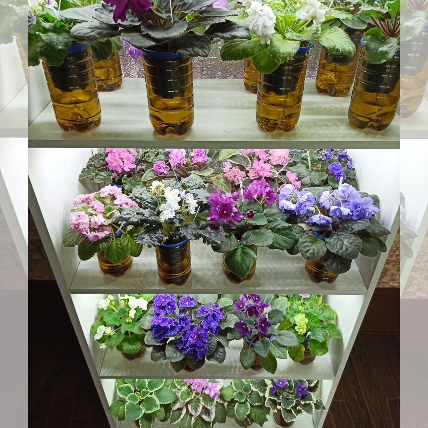 Бұрынғы қыздың киска фотосы