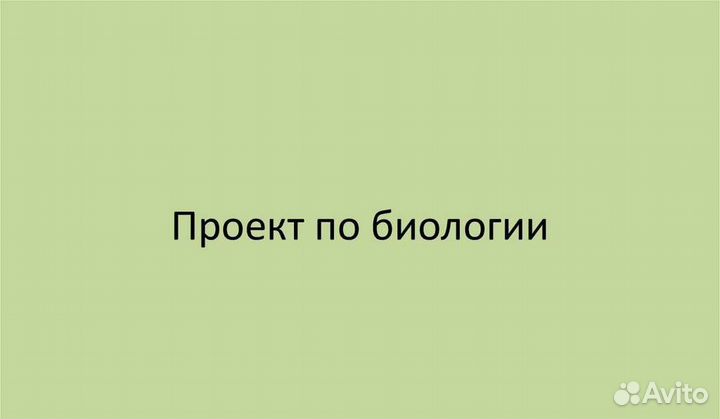 Проект по биологии