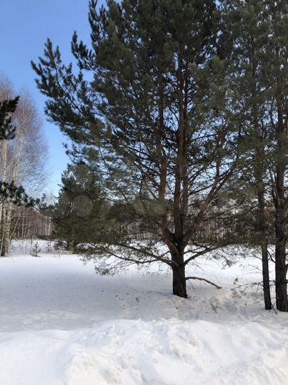 Участок 12,8 сот. (СНТ, ДНП)