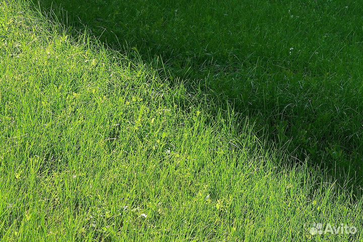 Теневой рулонный газон под ключ