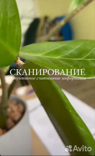 Тета сессия