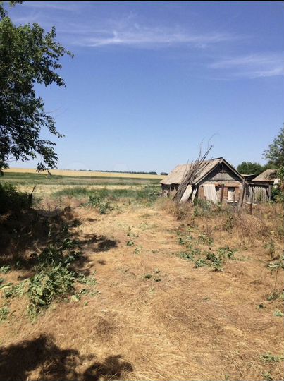 Участок 55 сот. (ИЖС)