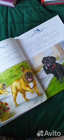 Волшебный эликсир