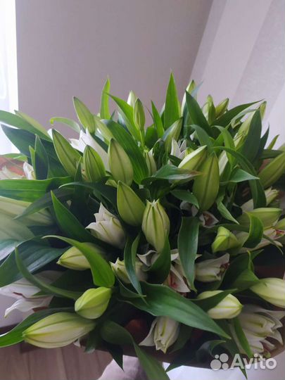 Лилии, доставка цветов