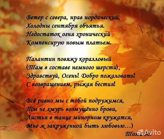 Стихи, песни-переделки, рэп на заказ