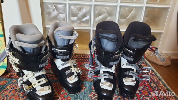 Горные лыжи