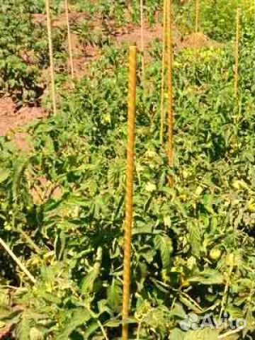 Опоры для растений из стеклопластика