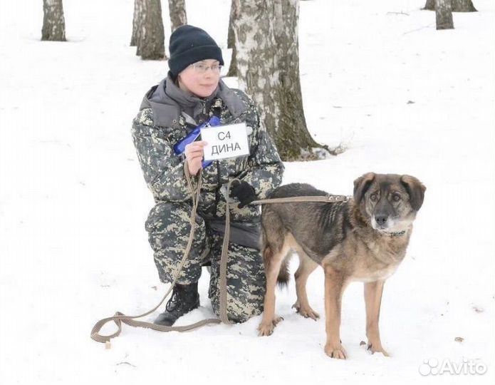 Милая Дина ищет дом