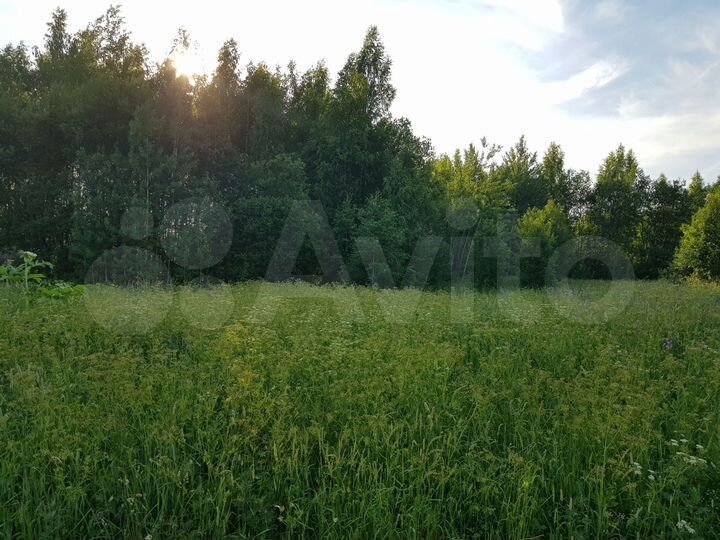 Участок 11 сот. (СНТ, ДНП)