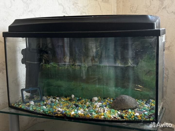 Аквариум