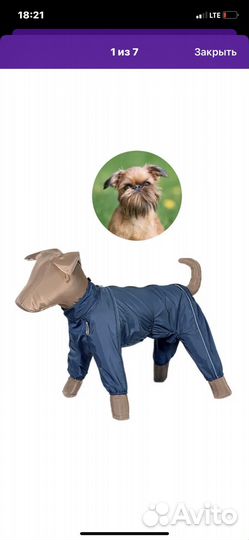 Комбинезон дождевик для кобеля
