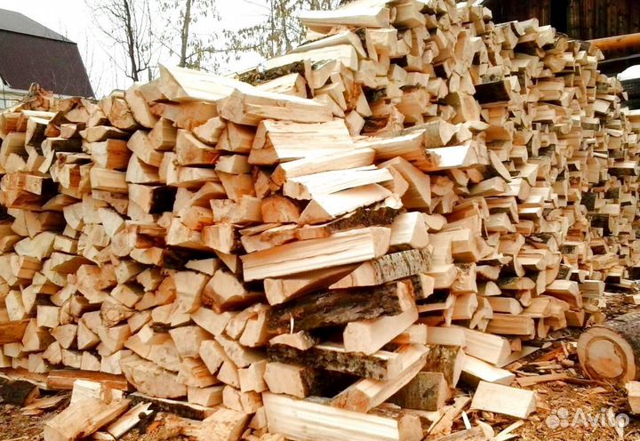 Кора березы