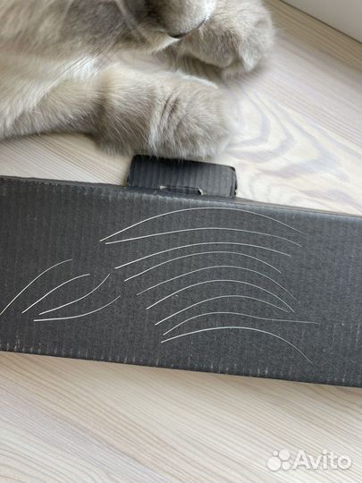 Усы кота (вибриссы)