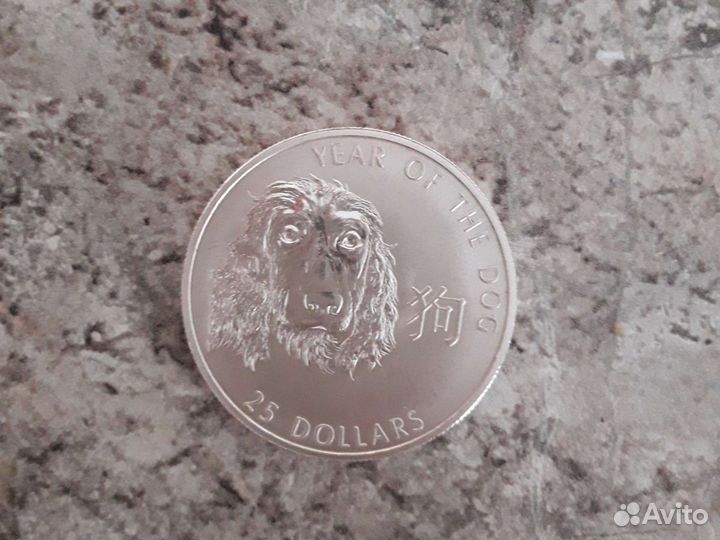 Серебрянная монета