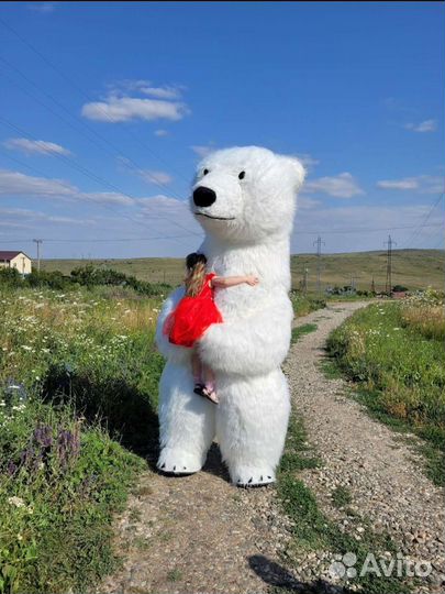 Белый мишка поздравление