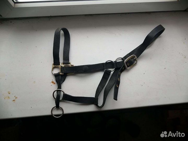 Все для конного спорта