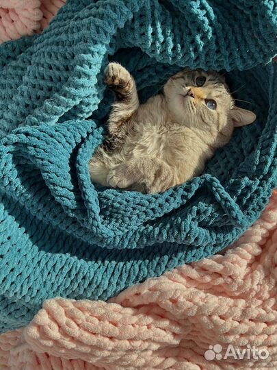 Вязаный шарф