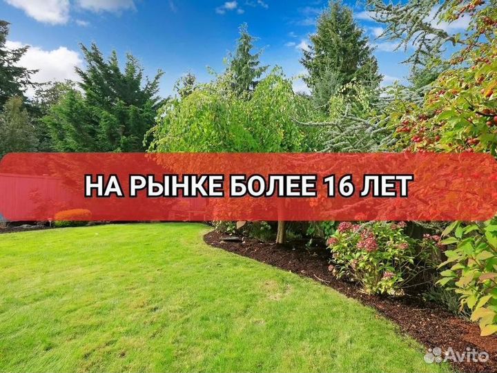 Рулонный газон