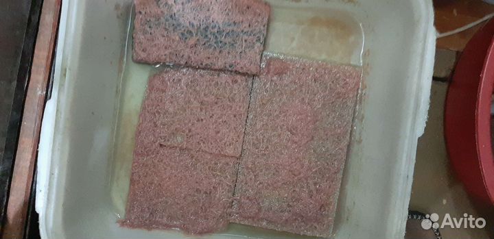 Культуры червей Трубочник, Гриндаль и Аулофорус