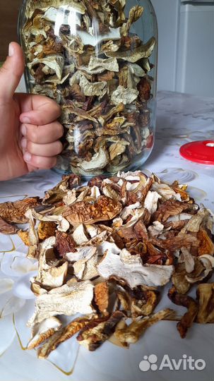 Белые грибы