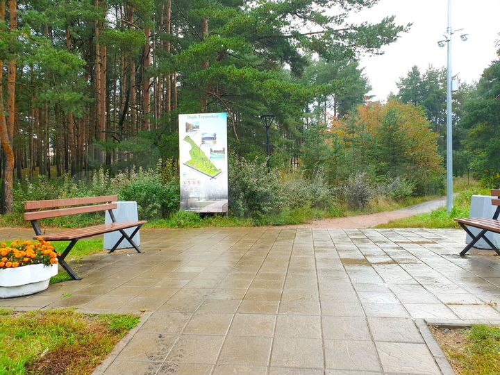 Комната 12,8 м² в 4-к., 5/5 эт.