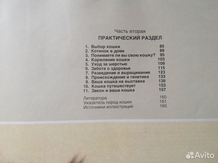 Книга о кошках