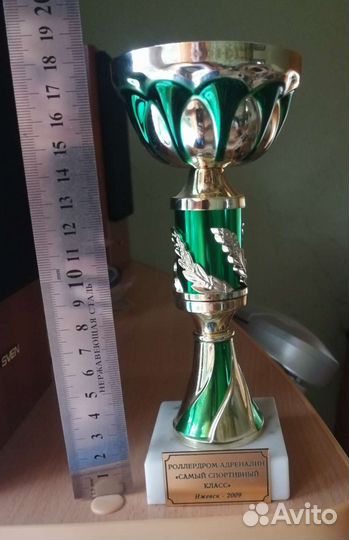 Кубок самый спортивный класс