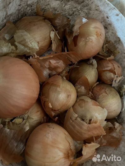 Соленья домашние. Огурцы, помидоры, икра и тд