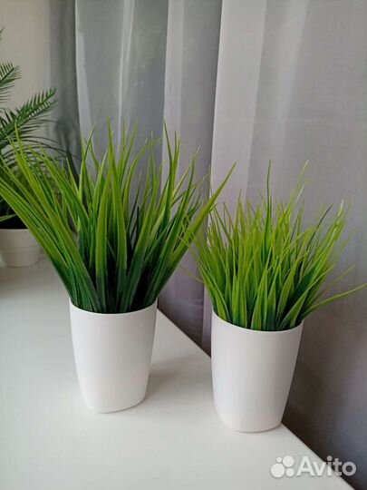 Осока искусственная высокая