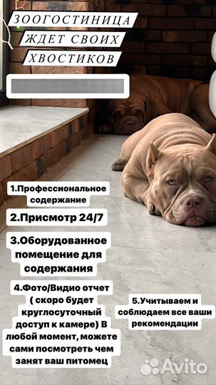 Зоогостиница