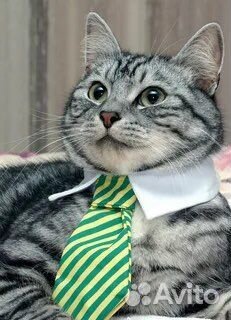 Немассовый юридический адрес