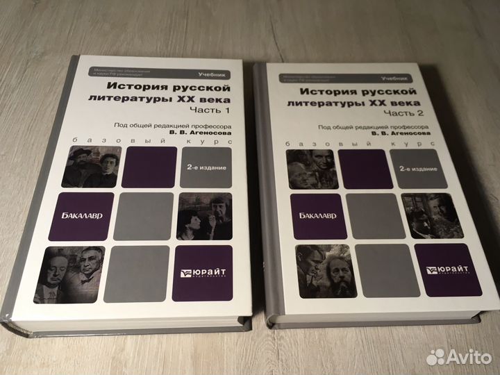 История русской литературы хх века