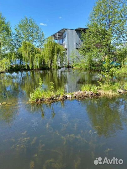 Русская баня