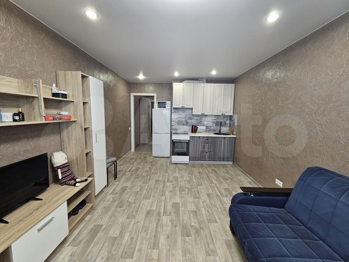 Квартира-студия, 26,9 м², 13/17 эт.