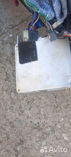 Блок EFI 1MZ-FE с косой Toyota Avalon MCX10