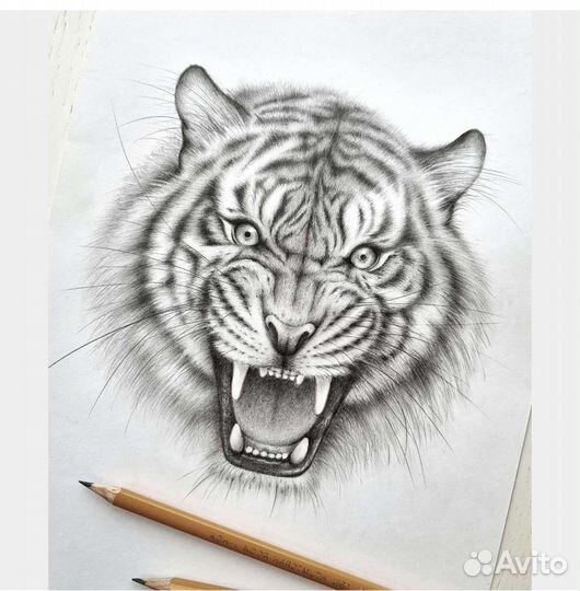 Рисунок карандашом Тигр
