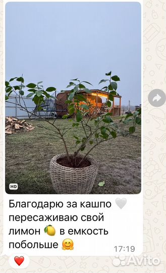 Кашпо из искусственного ротанга 10 литров