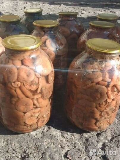 Рыжики маринованные