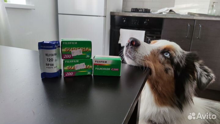 Фотопленка