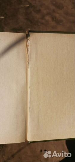 Гаврилов Корни твои