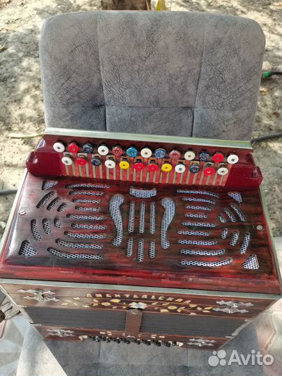 Гармонь любительская заказная