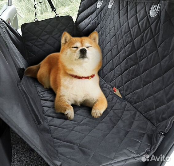 Передержка собак и кошек