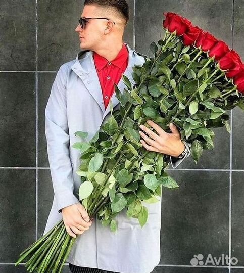 101 роза цветы букеты доставка 25 51 101 роза