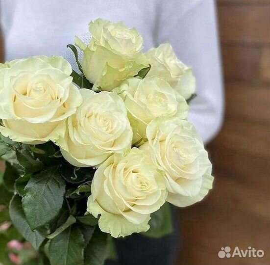 101 Роза Цветы Букеты 51 25 Роз Доставка